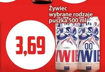 Kupiec Piwo bezalkoholowe Żywiec oferta