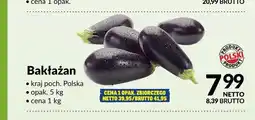 Makro Bakłażan oferta