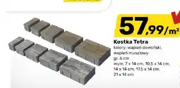 Bricomarche Kostka brukowa Tetra oferta