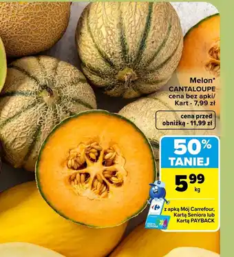 Melon Cantaloupe