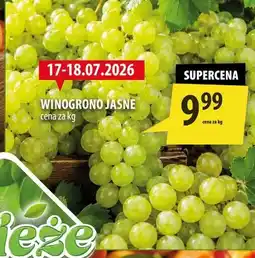 Arhelan Winogrono jasne oferta