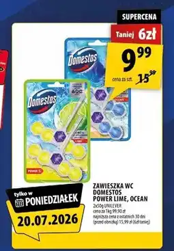 Arhelan Zawieszka WC Domestos Power Lime oferta