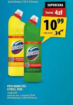 Arhelan Płyn do WC Domestos Pine oferta