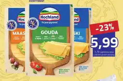 Hildebrandt Hochland Ser żółty oferta