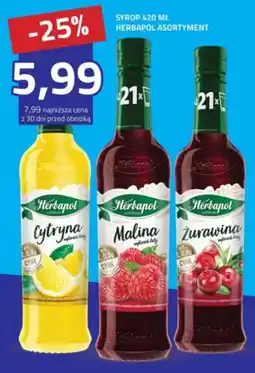 Hildebrandt Herbapol Syrop Asortyment oferta