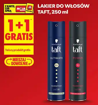 Biedronka Lakier do włosów Taft oferta
