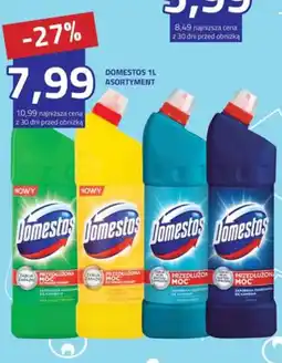 Hildebrandt Domestos 1L ASORTYMENT oferta