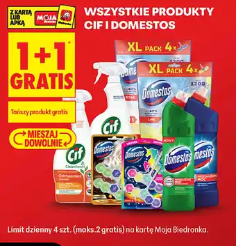 Biedronka Wszystkie produkty CIF i Domestos oferta