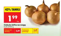Biedronka Cebula żółta oferta