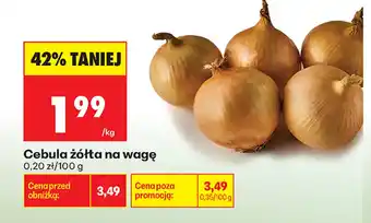Biedronka Cebula żółta oferta