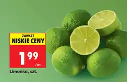 Biedronka Limonka oferta