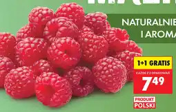 Biedronka Róża oferta