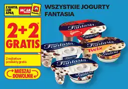 Biedronka Wszystkie Jogurty Fantasia oferta