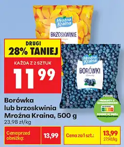 Biedronka Borówka lub brzoskwinia Mroźna Kraina oferta