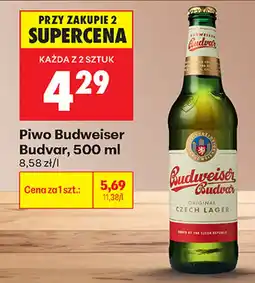 Biedronka Piwo Budweiser Budvar oferta