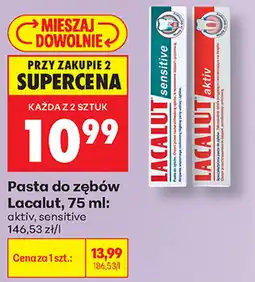 Biedronka Pasta do zębów Lacalut oferta