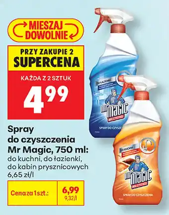 Biedronka Spray do czyszczenia Mr Magic oferta