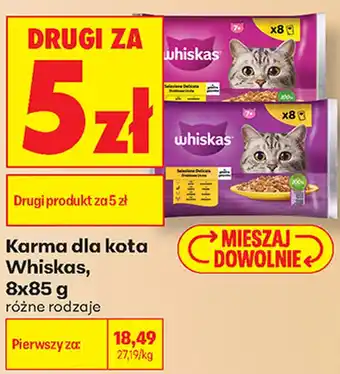 Biedronka Karma dla kota Whiskas oferta