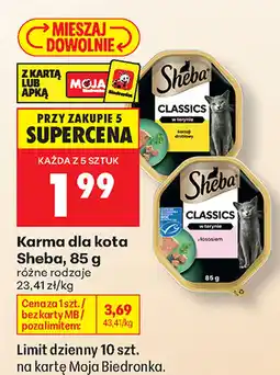 Biedronka Karma dla kota Sheba oferta