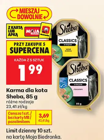 Karma dla kota Sheba