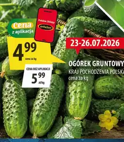 Arhelan Ogórek Arhelan oferta