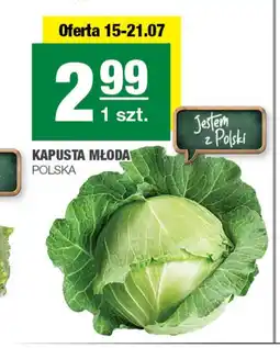 EuroSPAR Kapusta młoda Polski oferta