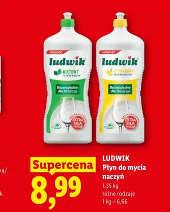 Lidl Płyn do naczyń Ludwik oferta