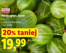 Lidl Agrest Polski oferta