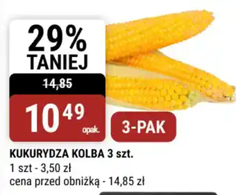 Kukurydza Kolba