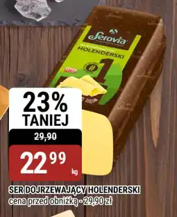 bi1 Ser Dojrzewający Holenderski oferta