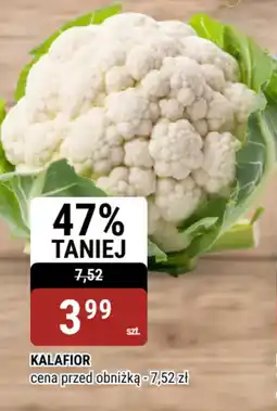 bi1 KALAFIOR oferta