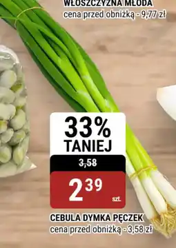 bi1 Cebula Dymka Pęczek oferta