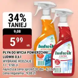 bi1 Płyn do mycia powierzchni Ludwik oferta