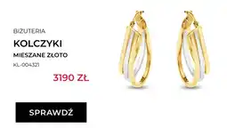 Briju Kolczyki Mieszane Złoto oferta