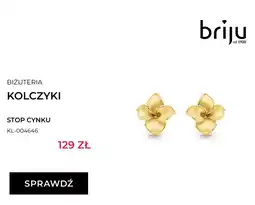 Briju Kolczyki stop cynku oferta