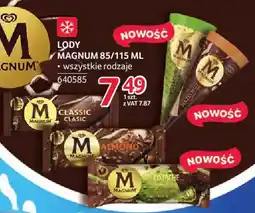 Selgros Lody Magnum oferta