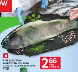 Selgros Pstrąg Tęczowy oferta