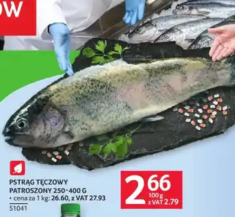 Selgros Pstrąg Tęczowy oferta
