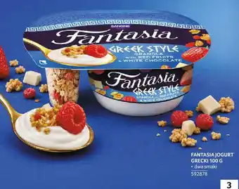 Selgros Fantasia Jogurt Grecki oferta