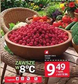 Selgros Maliny oferta