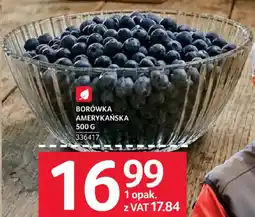 Selgros Borówka Amerykańska oferta