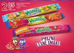 Selgros Gumy Rozpuszczalne Mamba oferta