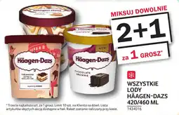 Selgros Lody Häagen-Dazs oferta