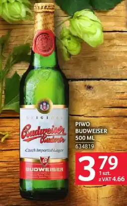 Selgros Piwo budweiser oferta
