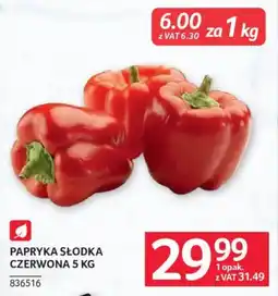 Selgros PAPRYKA SŁODKA CZERWONA oferta