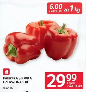 PAPRYKA SŁODKA CZERWONA