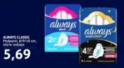Hale Banacha Always Classic Podpaski oferta