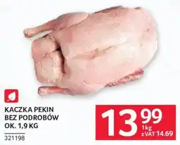 Selgros Kaczka Pekin oferta