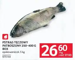 Selgros Pstrąg Tęczowy Patroszony oferta