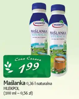 Cezar Delikatesy Maślanka naturalna MLEKPOL oferta